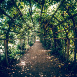 greentunnel 1 1